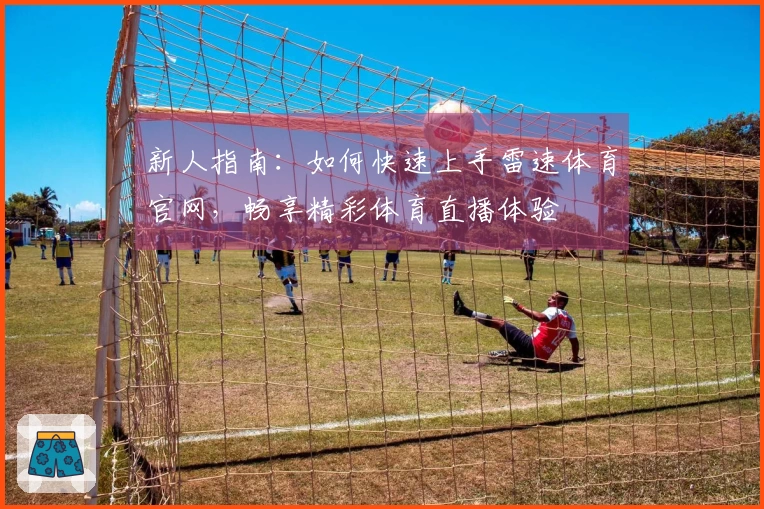 新人指南：如何快速上手雷速体育官网，畅享精彩体育直播体验