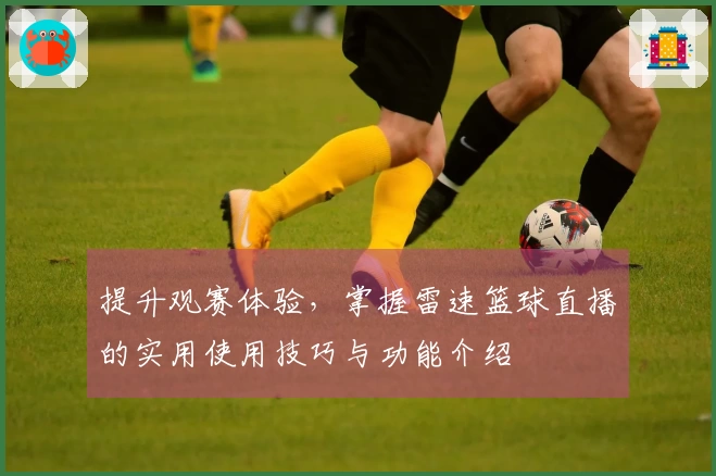 提升观赛体验，掌握雷速篮球直播的实用使用技巧与功能介绍
