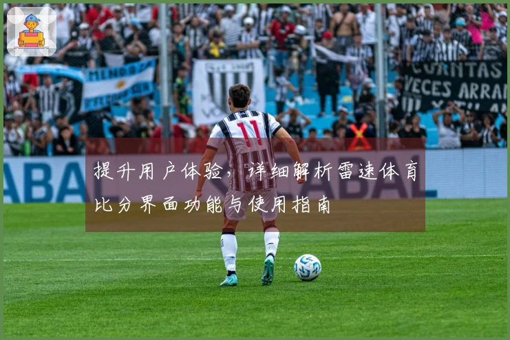 提升用户体验，详细解析雷速体育比分界面功能与使用指南
